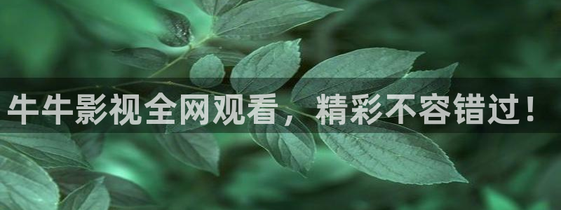 久久最新视频免费