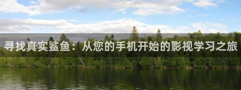 99久久爱免费视频视频